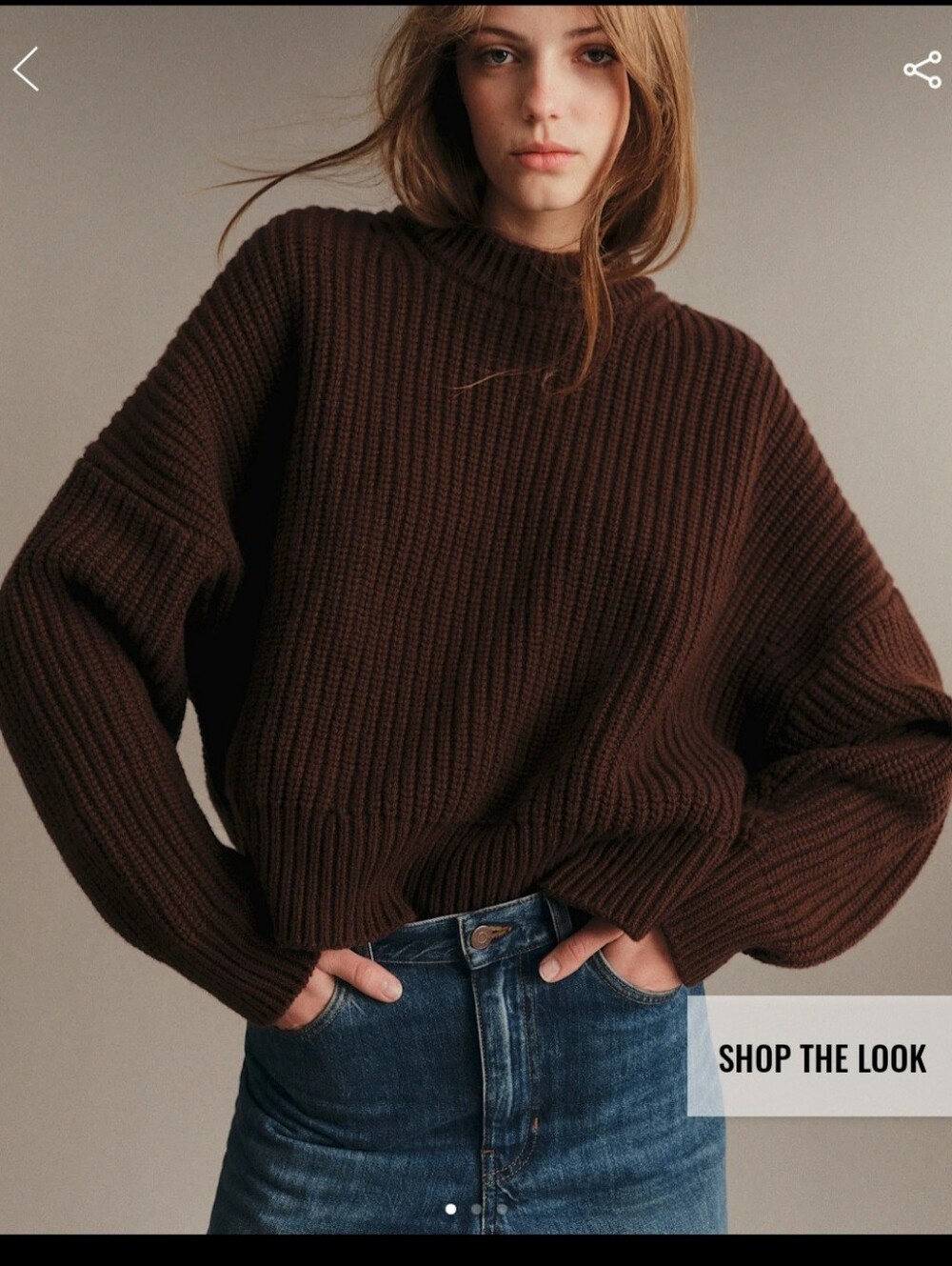 SEZANE EDGAR JumperKnit Sweater - Women CHOCOLATE